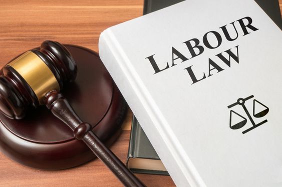 Employment Law